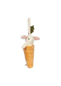 Activity Music Carrot