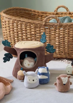 Activity Toy - Hide & Seek