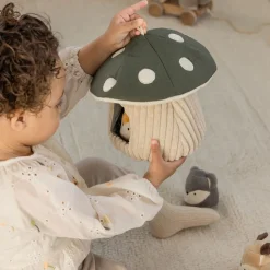 Activity Toy, Hide & Seek, Mushroom