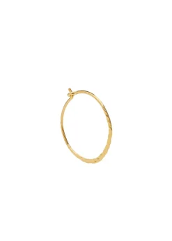Alma Hoop