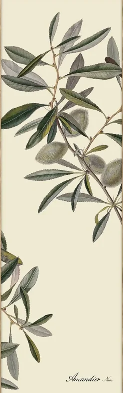Almonds slim