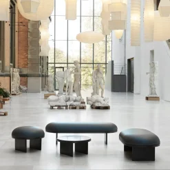ANZA Coffee Table / By Rui Pereira and Ryosuke Fukusada