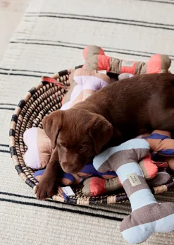 Ashi Dog Toy