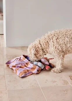 Ashi Dog Toy