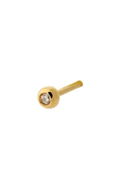 Astra Earstick