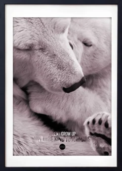 Baby Polar Bear Colour