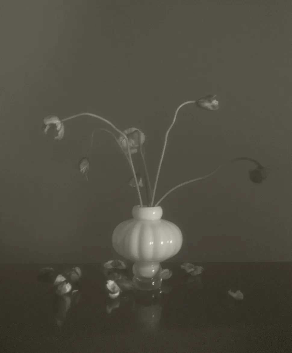 Balloon Vase 02