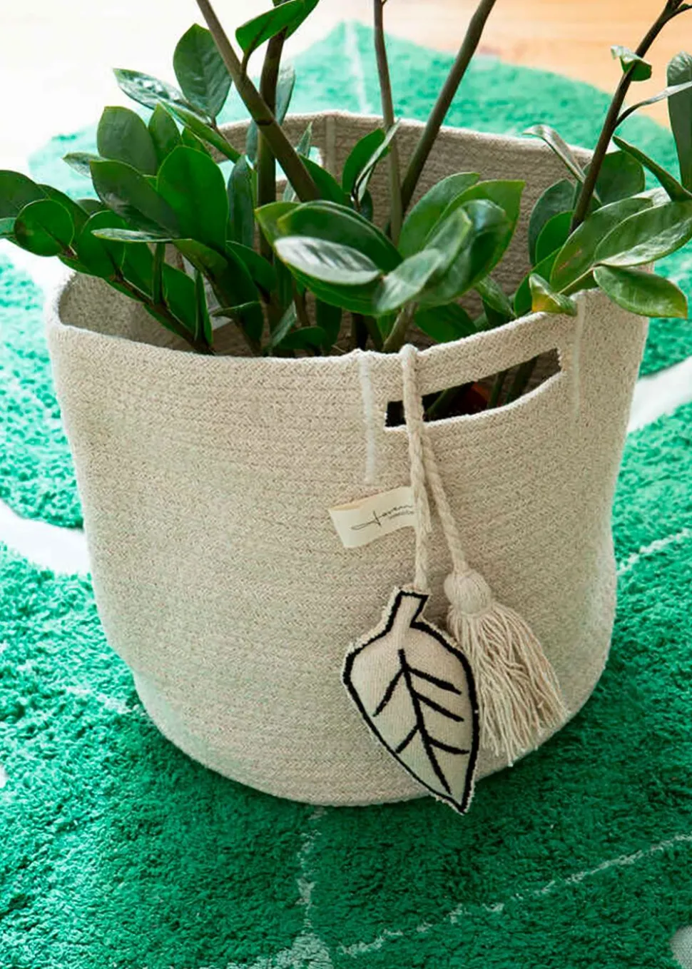 Basket Leaf