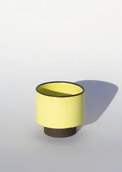 Bau Cup - Medium