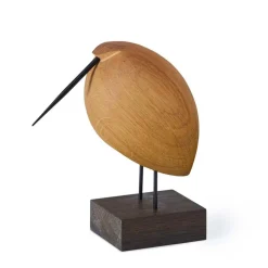 Beak Bird