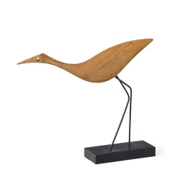 Beak Bird