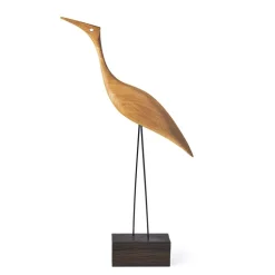Beak Bird