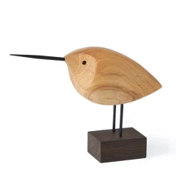 Beak Bird