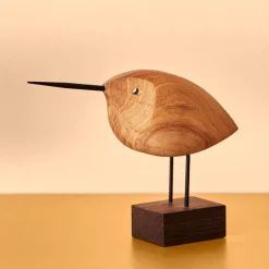 Beak Bird