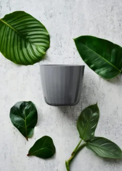 Berta Flowerpot