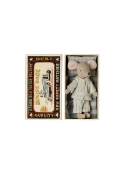 Big brother mouse in matchbox