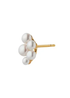 Bloom Berries Earring