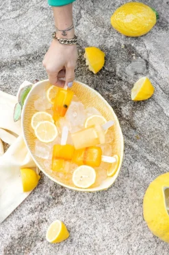 Bowl Lemon L