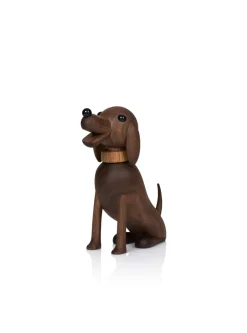 Buster the Dog