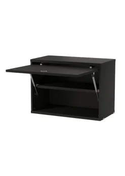 Cabinet With Flip Doors
