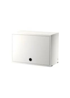 Cabinet With Flip Doors