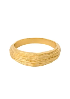 Coastline Ring