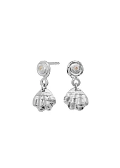 Conca