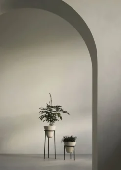 Daiza Planter