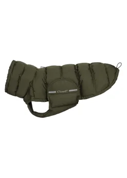 Dog Coat Alaska - Olive