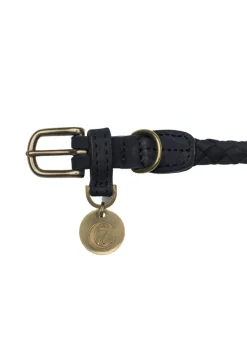 Dog Collar Ravello