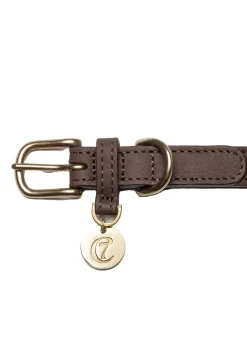 Dog Collar Tiergarten