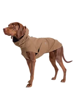Dog Raincoat Dublin