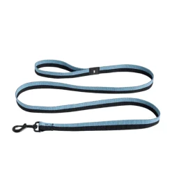 Dogs Leash | Flat