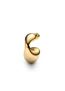 Dolphin Earring Small
