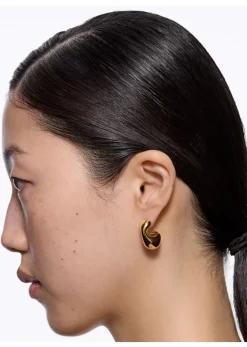 Dolphin Earring Small