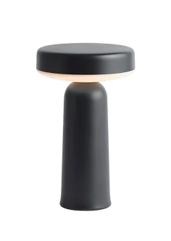 Ease Portable Lamp