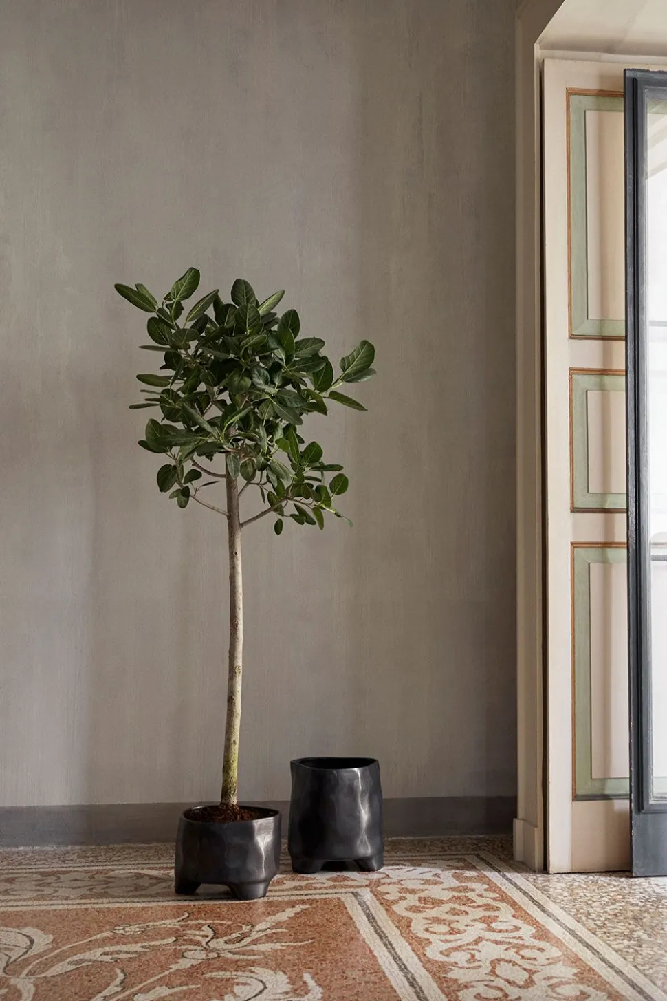 Esca Pot