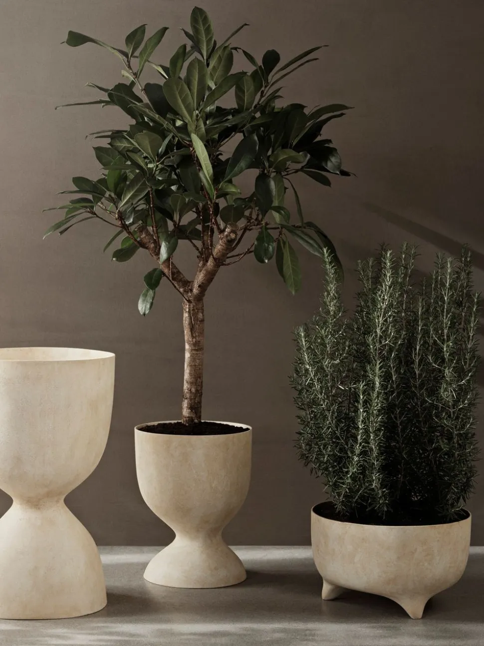 Evoke Pot