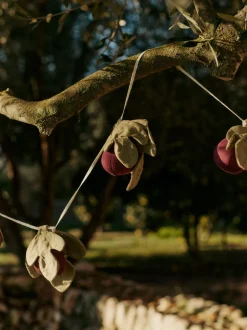 Figs Garland