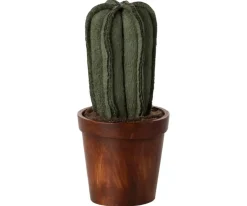 Flower Pot With Cactus