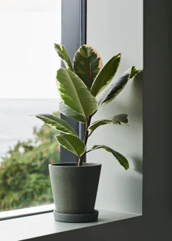 Flowerpot with saucer