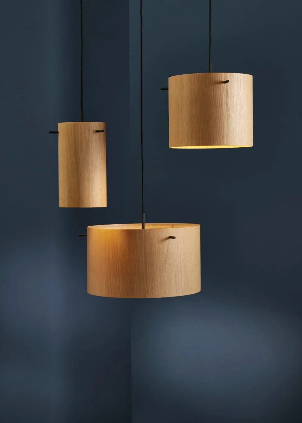 FM1954 Veneer Pendant