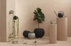 Globe vandkande
