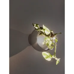 GLOBE wall flowerpot