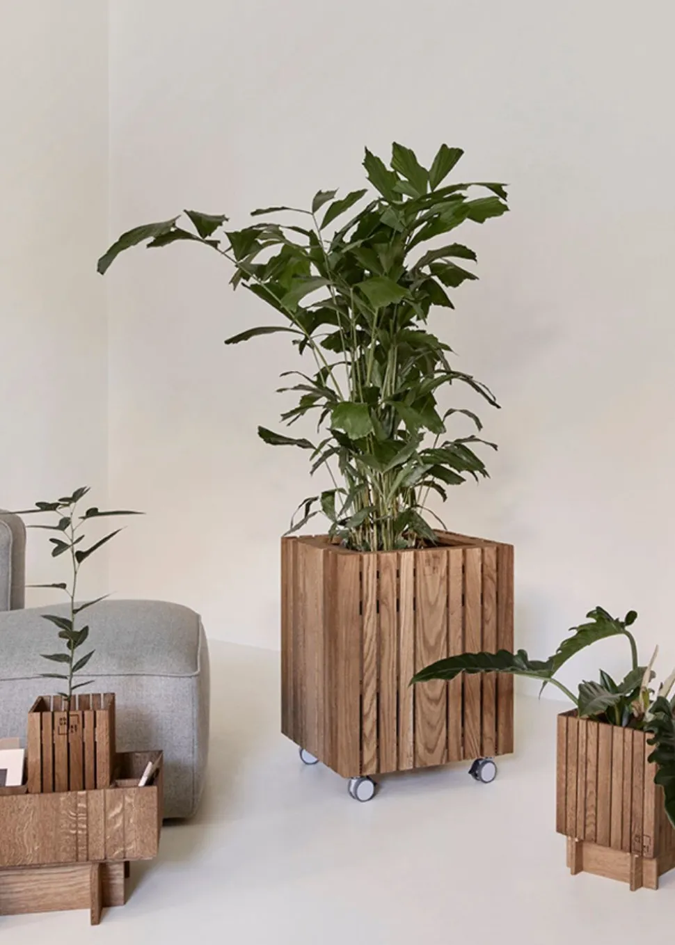 GrowMORE