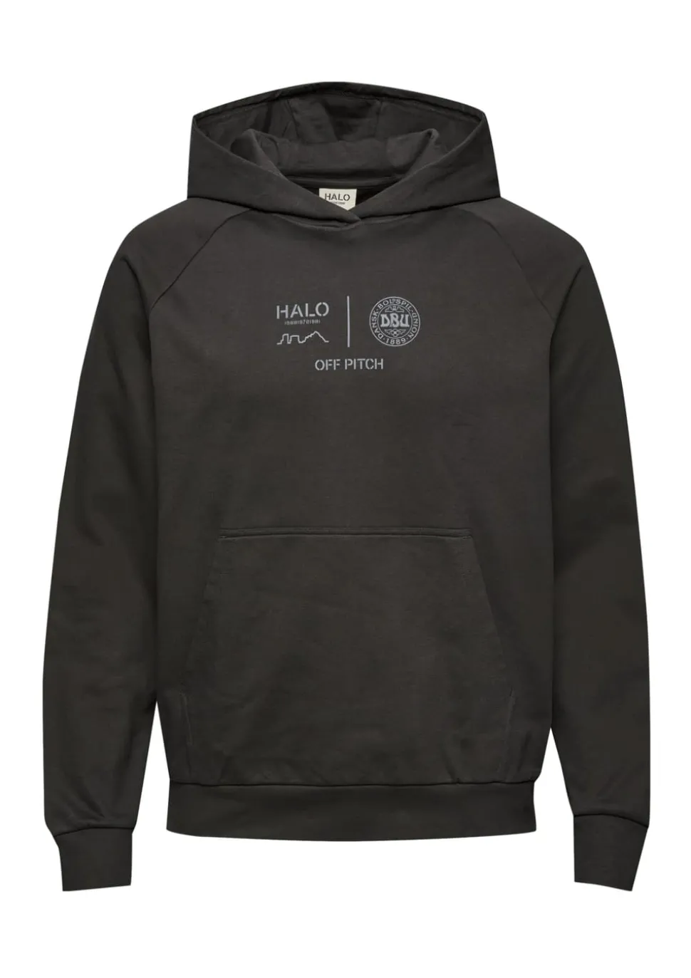 HALO x DBU Graphic Hoodie