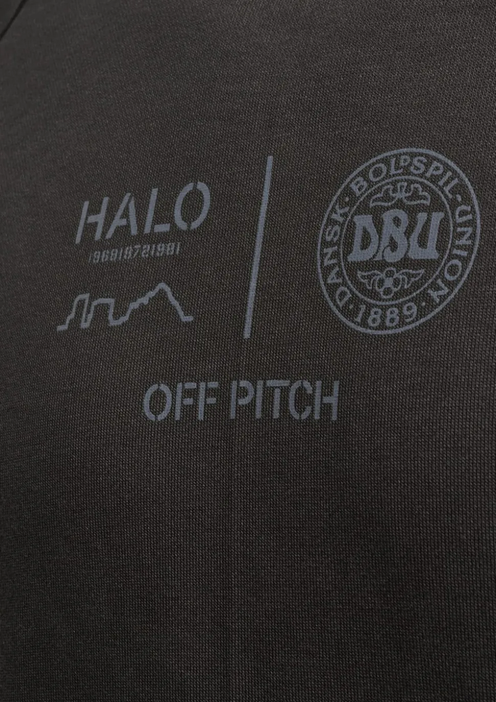 HALO x DBU Graphic Hoodie