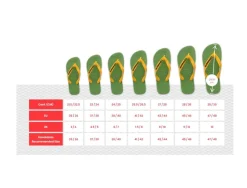 Havaianas Slippers
