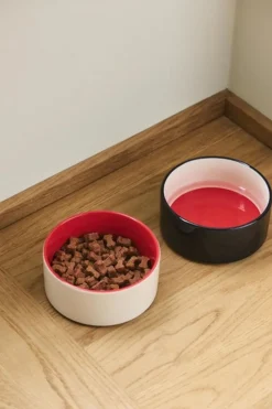 Hay Dogs Bowl