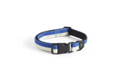 Hay Dogs Collar Flat